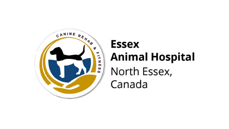 Essex AH Featured resized 2 768x432