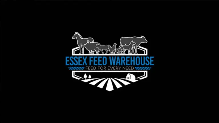 essexfeedlogo white 300x195 1 768x432