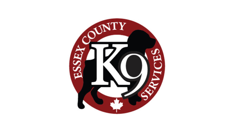 k9 logo resized 1 768x432